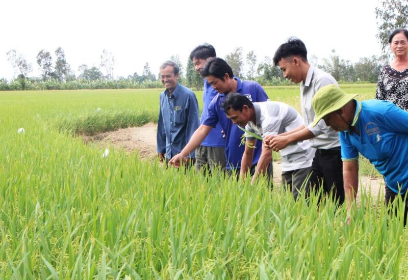 Nhơn Mỹ định hình hướng phát triển mới