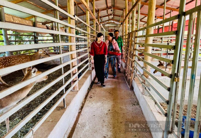 Nhơn Mỹ phát huy hiệu quả công tác khuyến nông