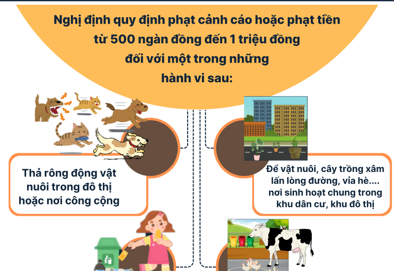 Từ ngày 15/12/2025, thả rông động vật nuôi ở nơi công cộng bị phạt tới 1 triệu đồng