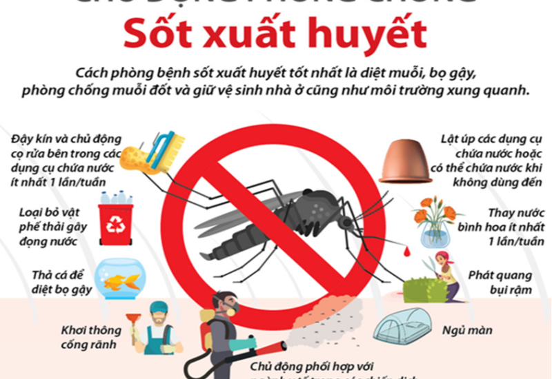 Sốt xuất huyết: phát hiện sớm để tránh biến chứng