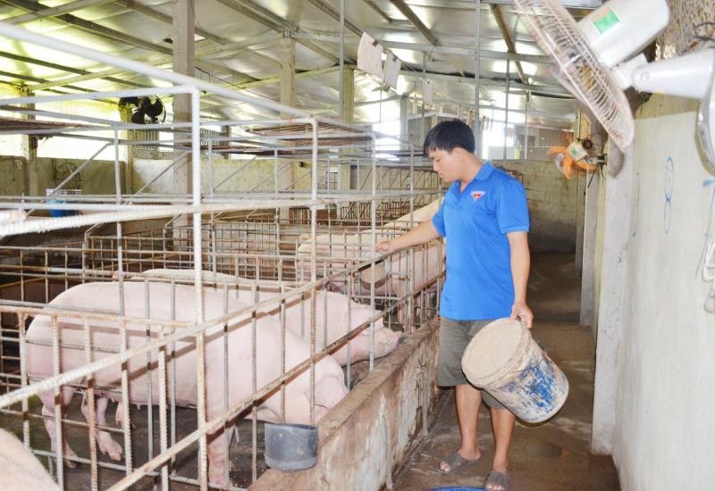 An Giang chủ động ứng phó nguy cơ biến động nguồn cung và giá thịt heo