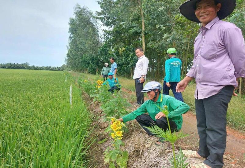 Hội Nông dân xã Nhơn Mỹ với phong trào thi đua sản xuất, kinh doanh giỏi