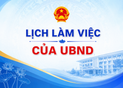 Lịch làm việc tuần của Lãnh đạo Ủy ban nhân dân xã Nhơn Mỹ (Từ ngày 11/5/2026 đến ngày 15/5/2026)